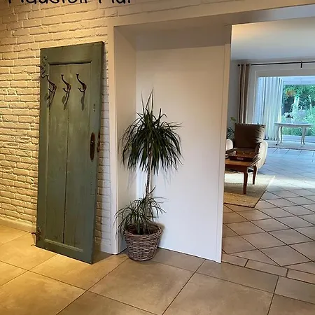 Von Luehmann Niebull